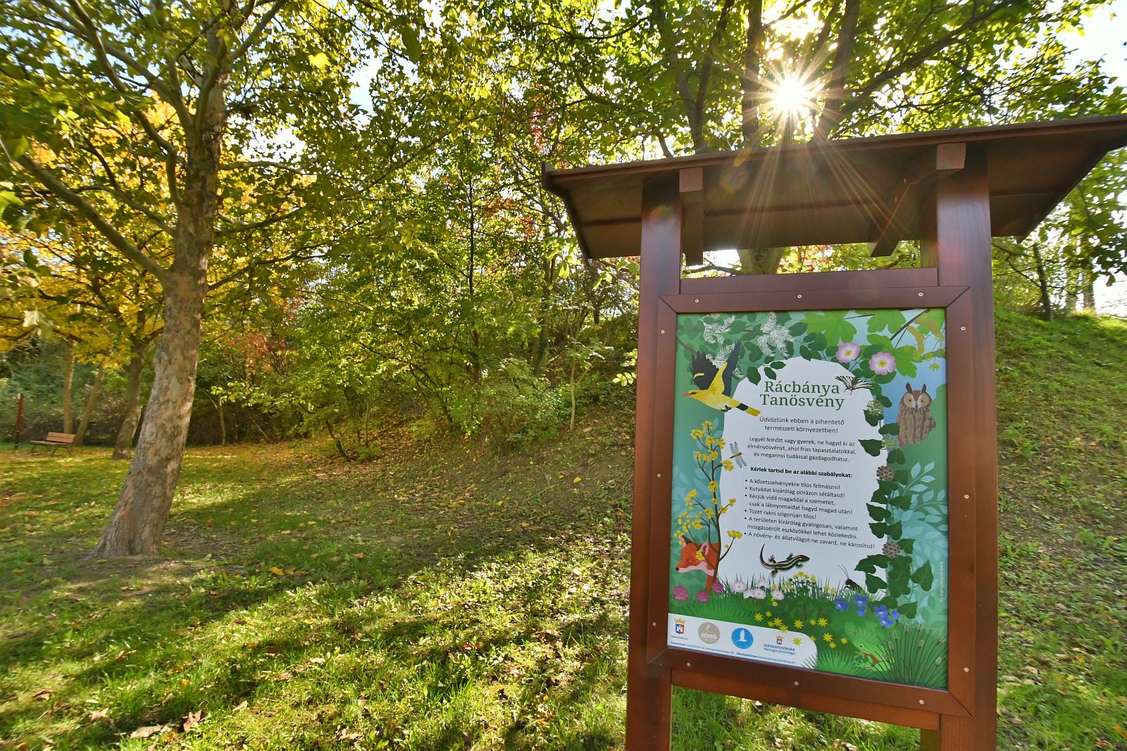 Vezetett természetismereti túrák indulnak szombaton a Sóstón és a Rác bányában